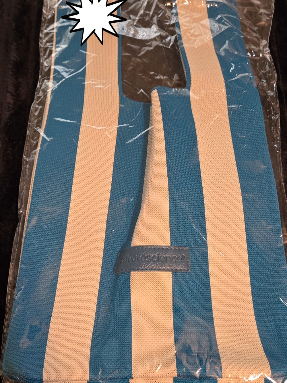 NWT Colorescience Teal and Cream Striped Knit Makeup Bag – Mini Accessory Pouch